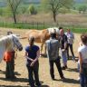 pszinapszis tréning2011