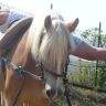 Felnőtt tábor 2009
